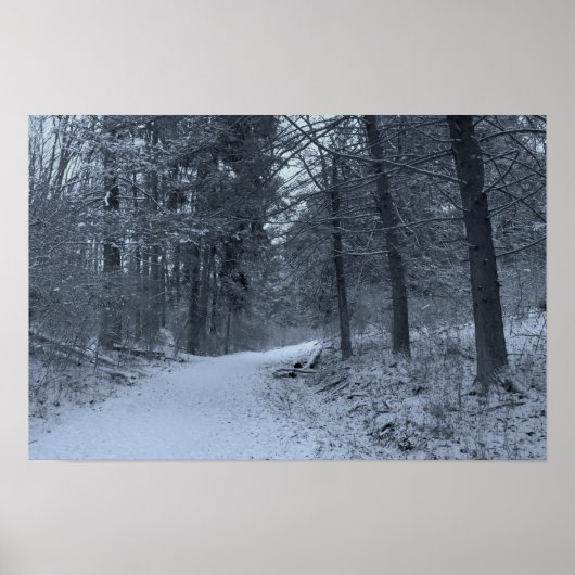 Snow Covered Hiking Trail 1 Poster (Vorne)