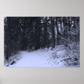 Snow Covered Hiking Trail 2 Poster (Vorne)