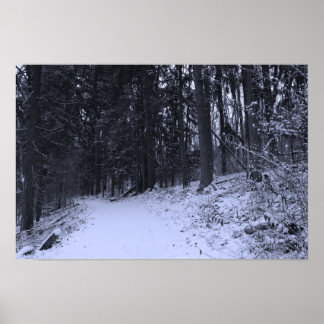 Snow Covered Hiking Trail 2 Poster