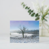 Snow Covered Ozark Hills Postkarte (Stehend Vorderseite)