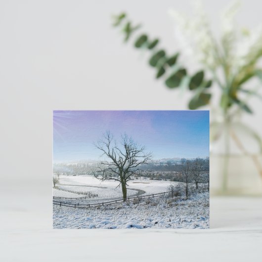 Snow Covered Ozark Hills Postkarte (Stehend Vorderseite)