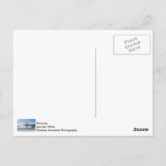 Snow Covered Ozark Hills Postkarte (Rückseite)