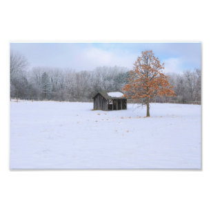 Snow Covered Paddock Fotodruck