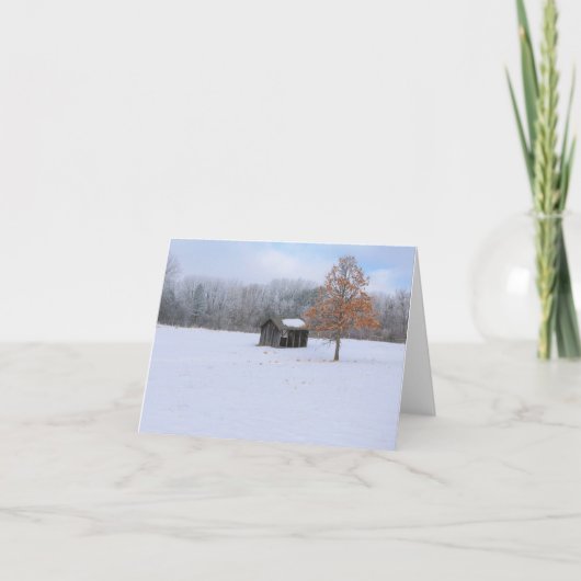 Snow Covered Paddock Karte (Vorderseite)