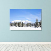 Snow Covered Prairie Pines und San Francisco Peaks Leinwanddruck (Insitu (Holzboden))