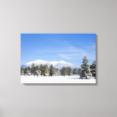 Snow Covered Prairie Pines und San Francisco Peaks Leinwanddruck (Vorderseite)