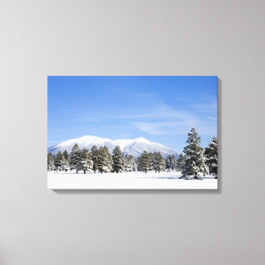 Snow Covered Prairie Pines und San Francisco Peaks Leinwanddruck (Vorderseite)