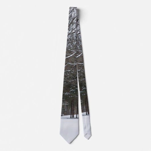 Snow Covered Road Painterly Neck Tie Krawatte (Vorderseite)