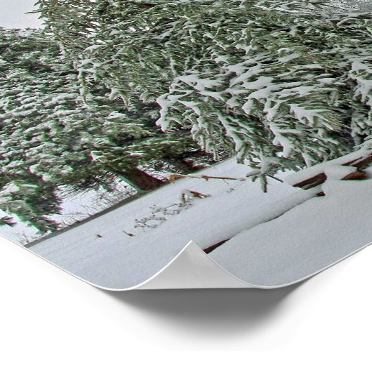 Snow Covered Trees Poster (Ecke)