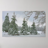 Snow Covered Trees Poster (Vorne)