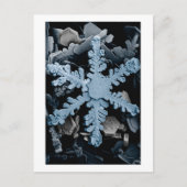 Snow Crystal 2 Postkarte (Vorderseite)