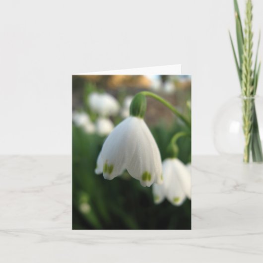 Snow Drop Flower Note card Karte (Vorderseite)