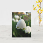 Snow Drop Flower Note card Karte (Gelbe Blume)