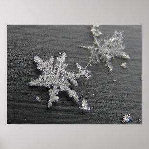 Snow Flake 45 ~ print Poster