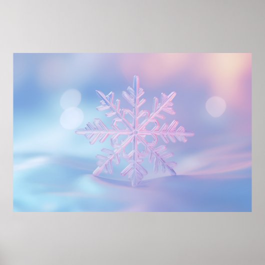 Snow Flake Nature Serene Ruhe Poster (Vorne)