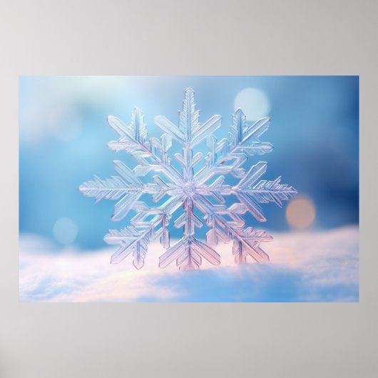 Snow Flake Nature Serene Ruhe Poster (Vorne)