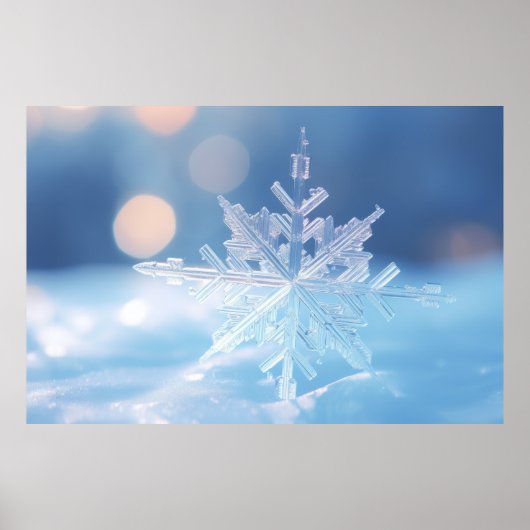 Snow Flake Nature Serene Ruhe Poster (Vorne)