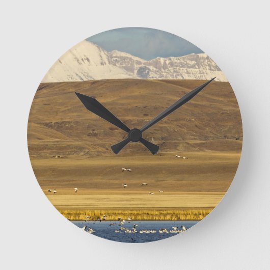 Snow geese during spring migration runde wanduhr (Vorderseite)