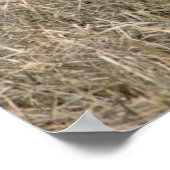 Snow Gese Poster (Ecke)