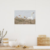 Snow Gese Poster (Küche)
