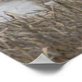 Snow Gese Poster (Ecke)