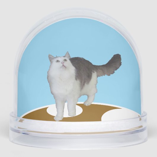 Snow Globe - Cat Looking Up Schneekugeln (Vorderseite)
