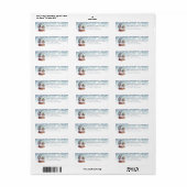 Snow Globe Return Address Labels (Vorne)