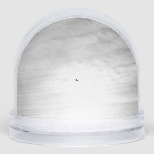 Snow Globe Schneekugeln (Vorderseite)