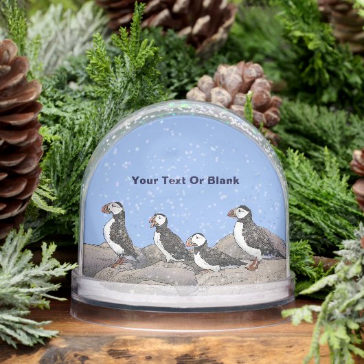 Snow Globe Schneekugeln (Winter)