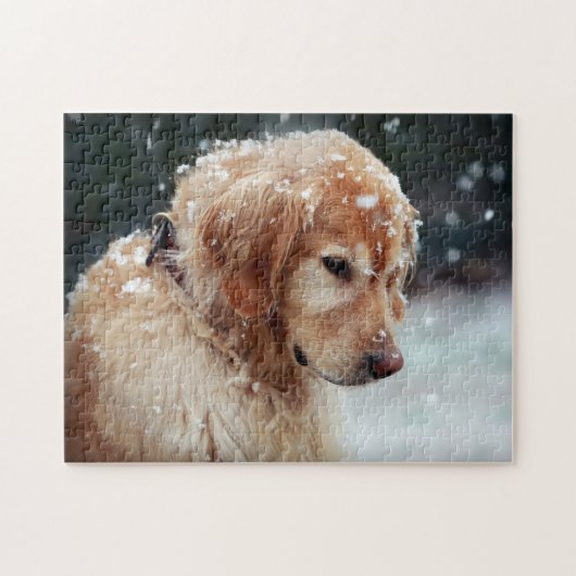 Snow Golden Retriever Puzzle (Horizontal)