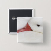 Snow Goose Chen caerulescens Button (Vorne & Hinten)