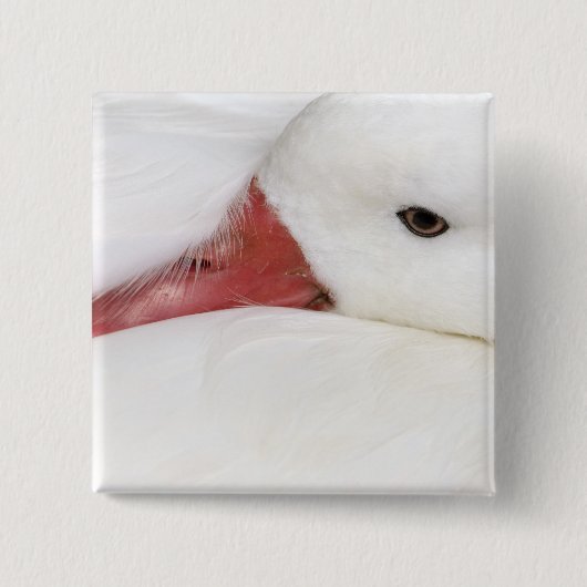 Snow Goose Chen caerulescens Button (Vorderseite)