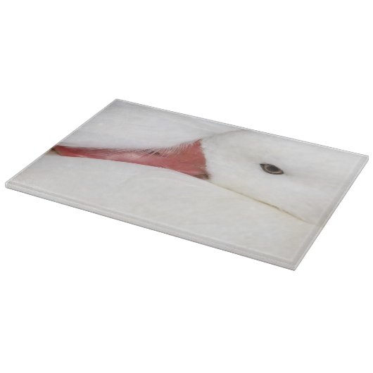 Snow Goose Chen caerulescens Schneidebrett (Ecke)