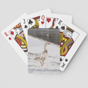 Snow Goose Strut Spielkarten