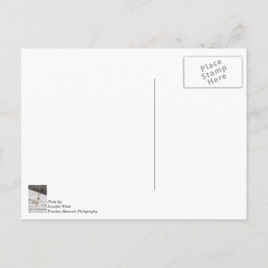 Snow Goose Strut Vielen Dank Postcard Postkarte (Rückseite)