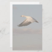Snow Gose Flying Stationery Briefpapier (Vorne/Hinten)