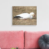 Snow Gose Wrapped Canvas Leinwanddruck (Insitu (Wohnzimmer))