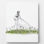 Snow Hare Fotoplatte (Vorderseite)
