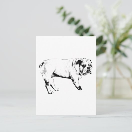 Snow-Hello Bulldog Postkarte (Stehend Vorderseite)