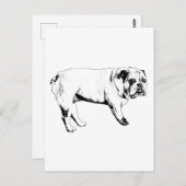 Snow-Hello Bulldog Postkarte (Vorne/Hinten)