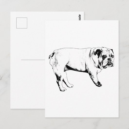 Snow-Hello Bulldog Postkarte (Vorne/Hinten)