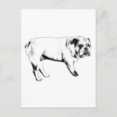 Snow-Hello Bulldog Postkarte (Vorderseite)