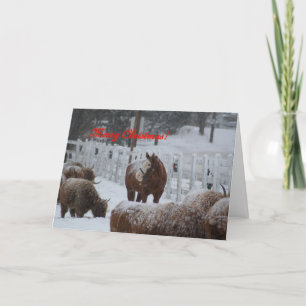 Snow horse, Merry Christmas! Feiertagskarte