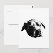 Snow-Hushed Hello Postkarte (Vorne/Hinten)