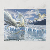 Snow Ice White Dragon Glacier Postkarte (Vorderseite)