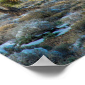 Snow In Death Valley Poster (Ecke)