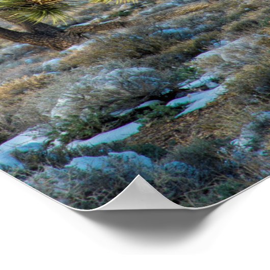 Snow In Death Valley Poster (Ecke)