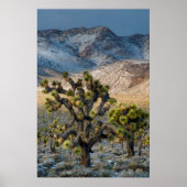 Snow In Death Valley Poster (Vorne)