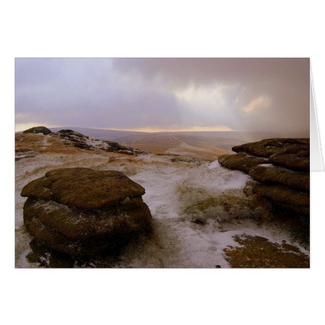 'Snow Kised Steeperton' (Vorderseite (Horizontal))