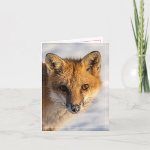 Snow Kissed Nose Vertical Holiday Card Feiertagskarte